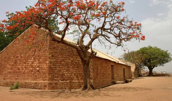 L'exceptionnel patrimoine de Bandiagara, victime de la guerre au Mali, va être réhabilité par l'Unesco