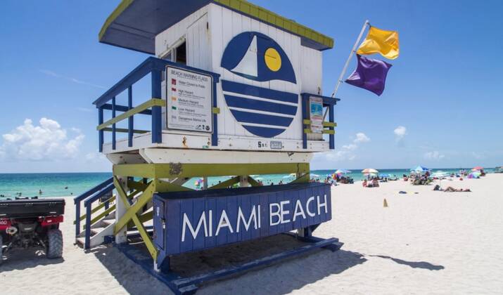 Miami : Une tortue enceinte sauvée après une attaque de requin 