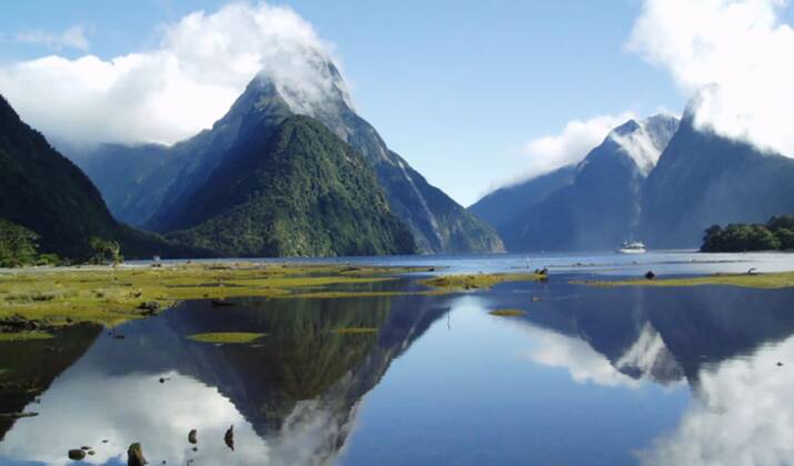 Une vingtaine de globicéphales échoués remis à flot en Nouvelle-Zélande