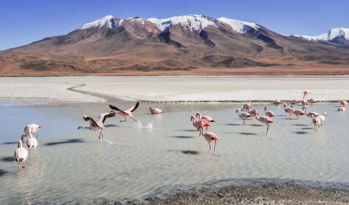 Désert de sel de Bolivie : nos conseils pour visiter le Salar d'Uyuni