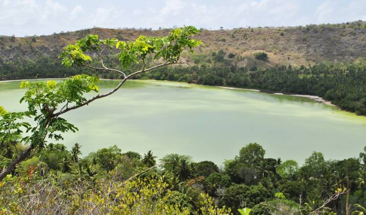 Un nouveau ver plat bleu vert découvert à Mayotte