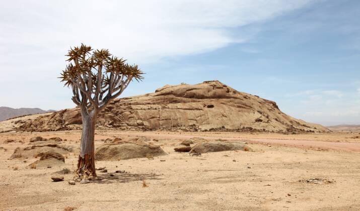 Namibie : les conservancies, des réserves modèles