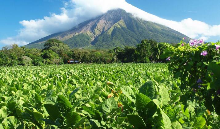 Nicaragua : l'alternative verte au Costa Rica