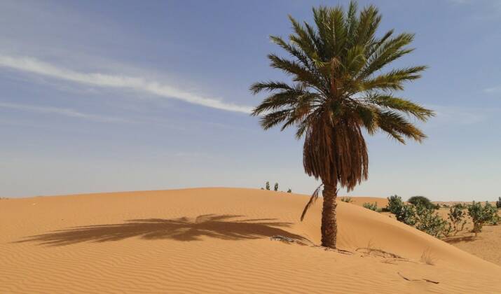 Sahara : l'Adrar mauritanien, une invitation au voyage