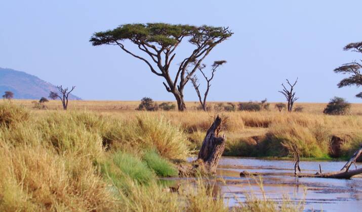 En Tanzanie, la nature reste reine