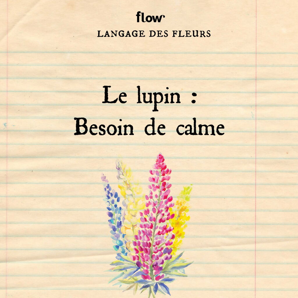 Langage des fleurs | Flow