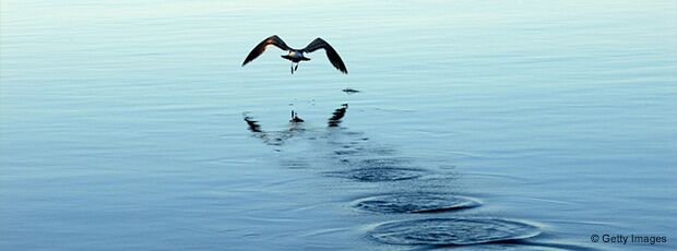 Oubliez L Ocean Bleu Preferez L Ocean Gris Hbr Oubliez L Ocean Bleu Preferez L Ocean Gris Hbr