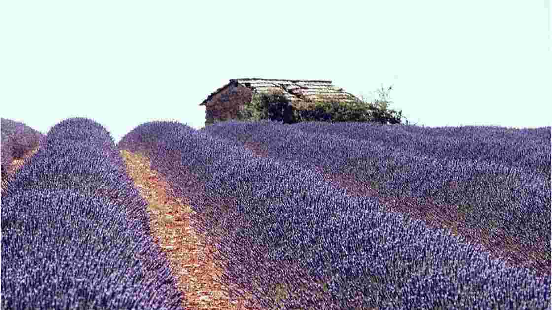 Couleur de Provence.jpg