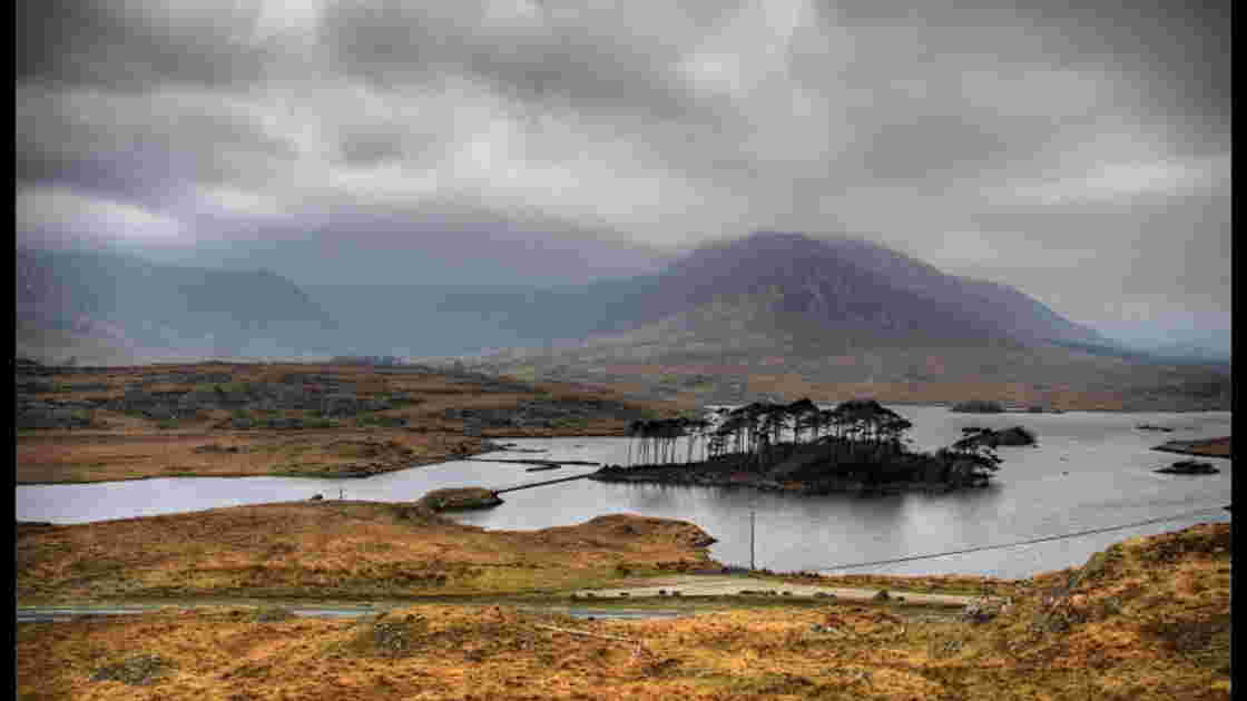 une souche dans un lac du Connemara, Geo.fr