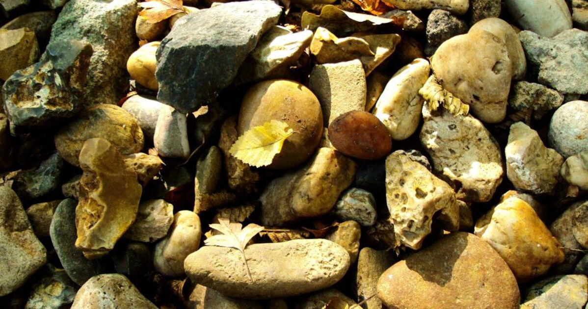 Les cailloux du Petit Poucet , Geo.fr