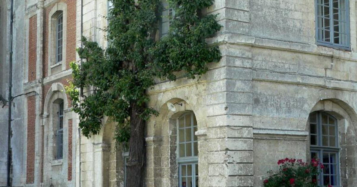 Le poirier, La poire emblème de l'Abbaye Geo.fr