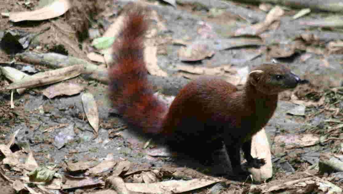 Aux_aguets.JPG, Geo.fr