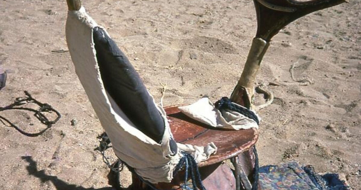 Rahla, Une rahla la selle touarègue. Geo.fr