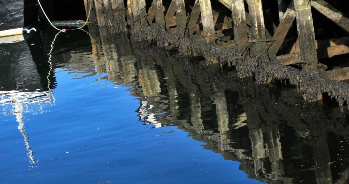 Les basfonds, Geo.fr