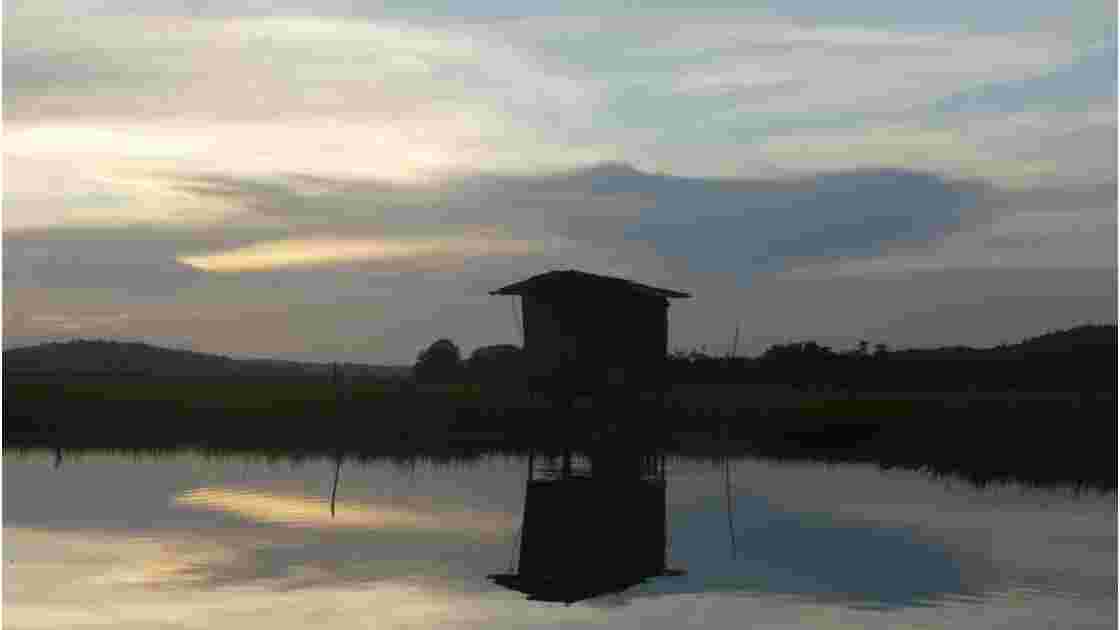 Coucher De Soleil Dans Les Marais De Kaw Coucher De Geo Fr