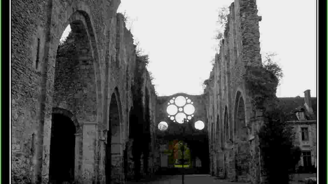 Rosace de Abbaye des Vaux de Cernay