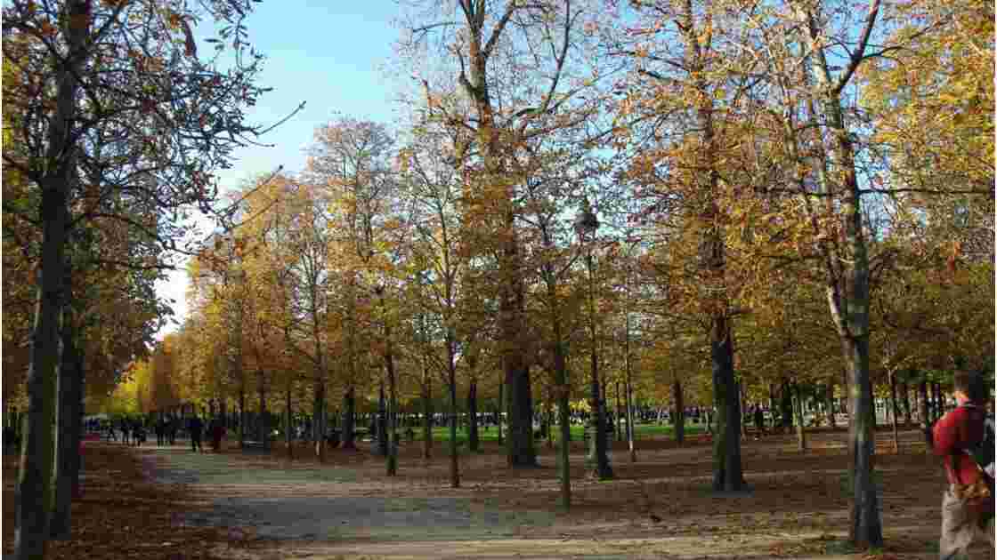 Jardin_des_Tuileries_3038.JPG