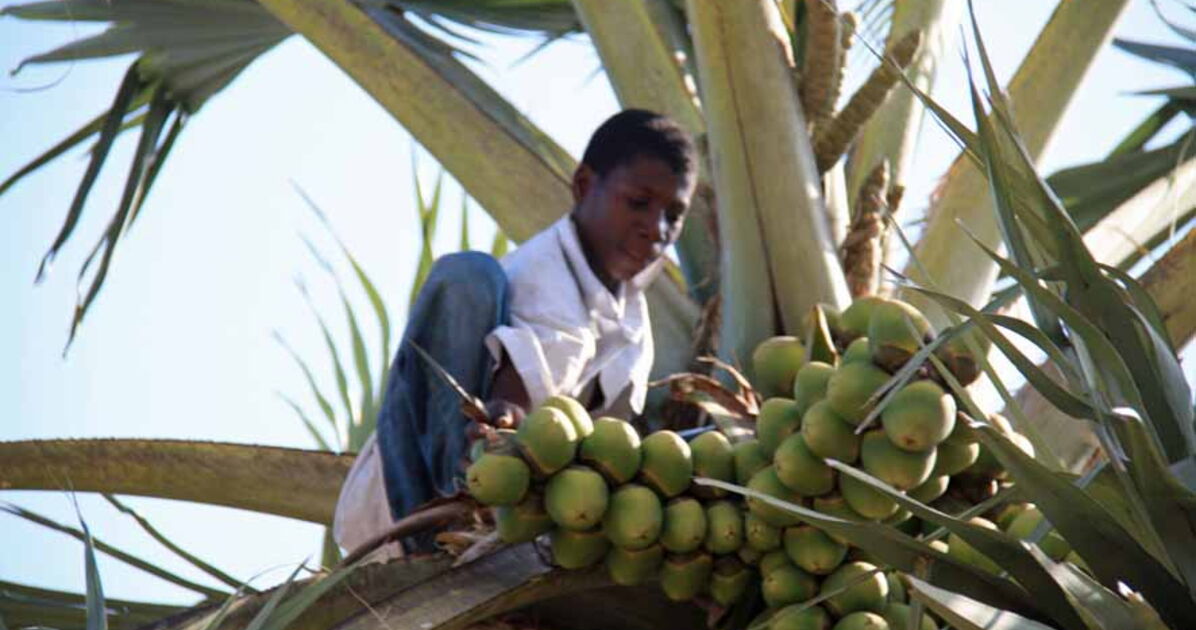 ronier_Burkina_Faso_1.jpg, - Geo.fr