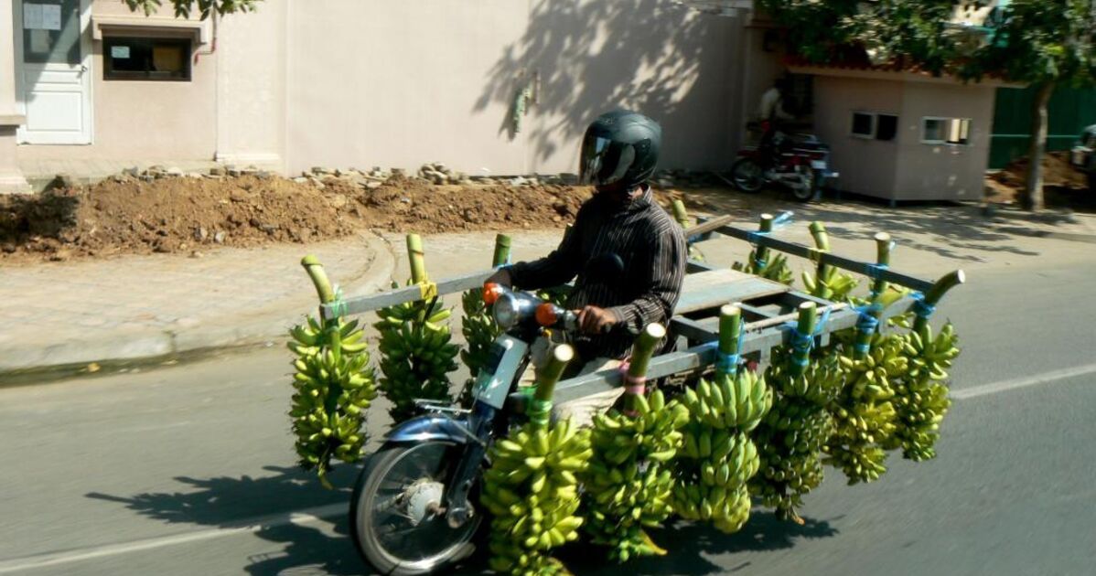 Le Trail idéal  - Page 40 Moto-banane-cambodge