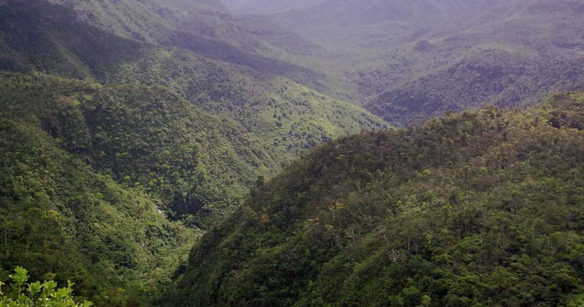 Les de la Riviere Noire.jpg, Vue sur le pa1 Geo.fr
