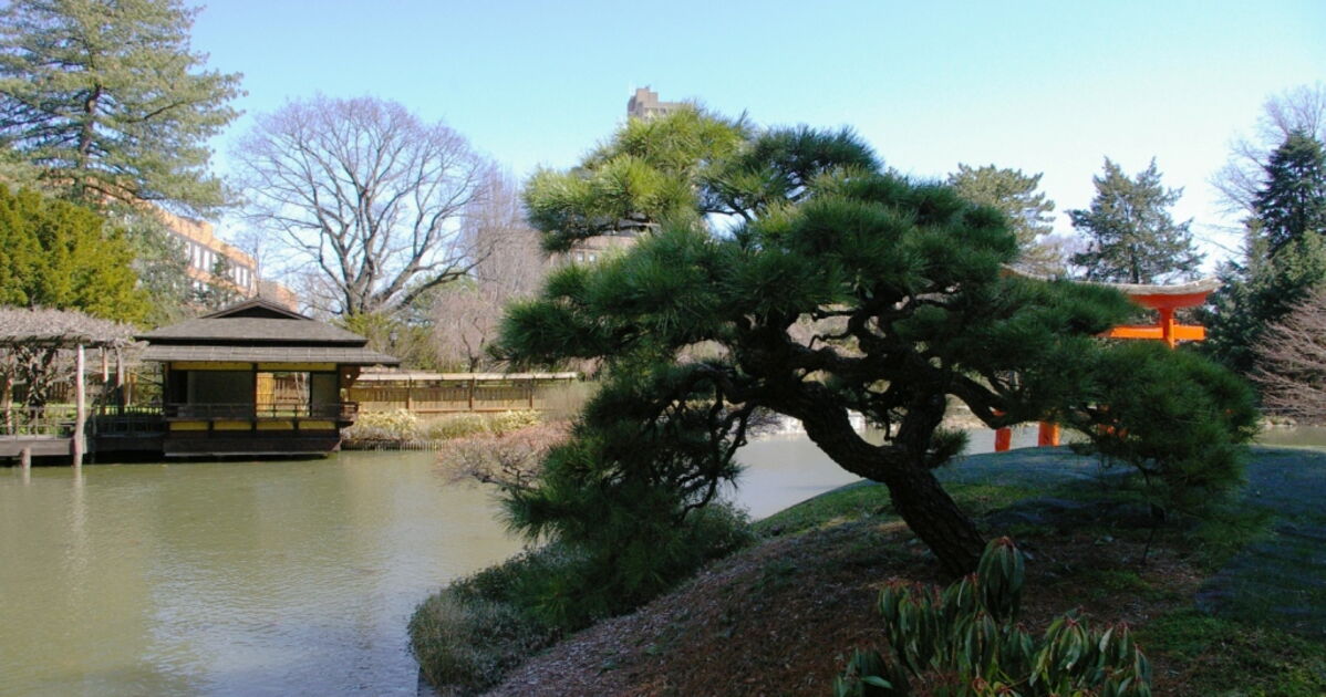 Jardin botanique de Brooklyn, - Geo.fr