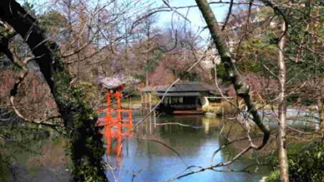 Jardin botanique de Brooklyn, - Geo.fr