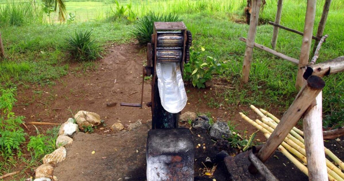 Moulin à canne de sucre