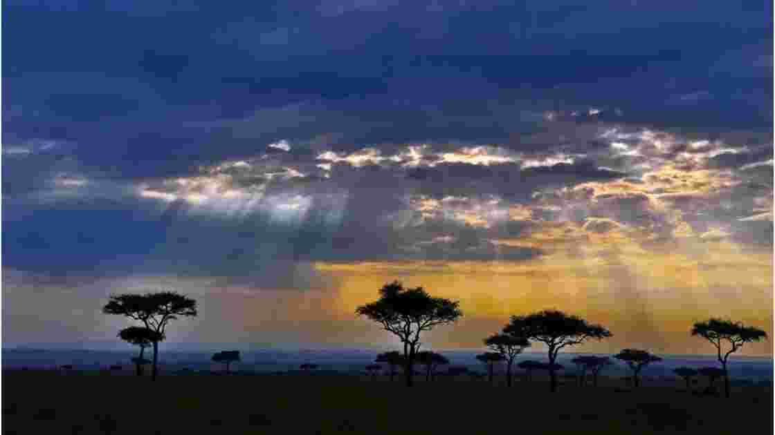 lever de soleil sur Masai Mara