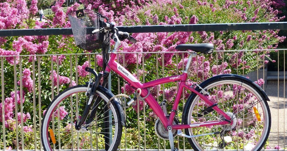 la bicyclette rose societe.com