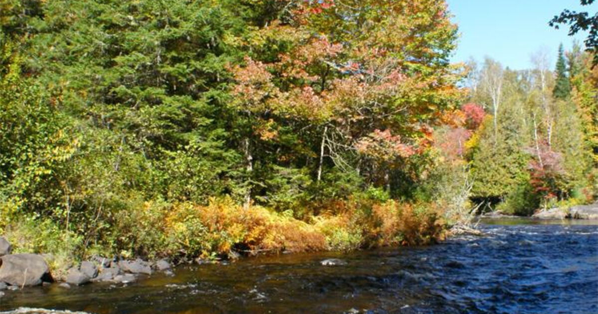 Bord de rivière, Geo.fr