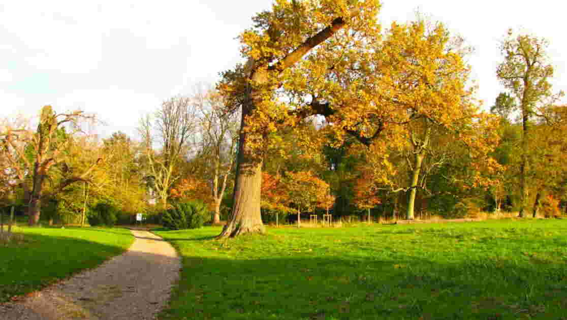 Parc de Noisiel !!!, Geo.fr