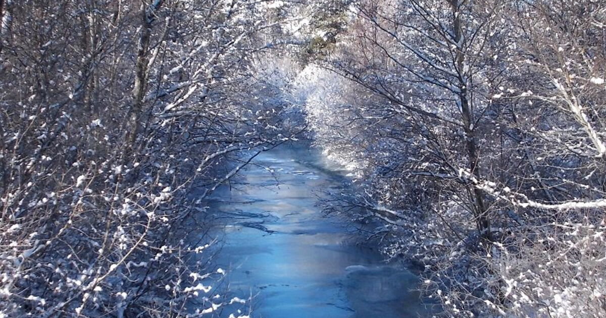 La rivière de la Blanche, La rivière gelée Geo.fr