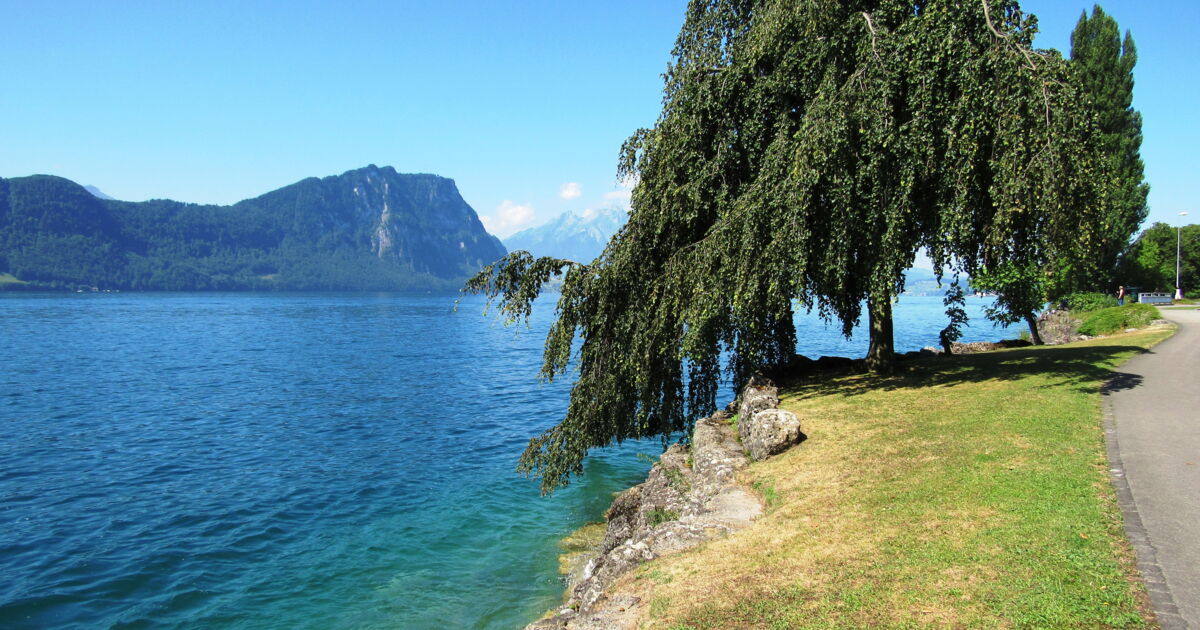Lac des Quatre Cantons, Lucerne, Suisse, Haut lieu... Geo.fr