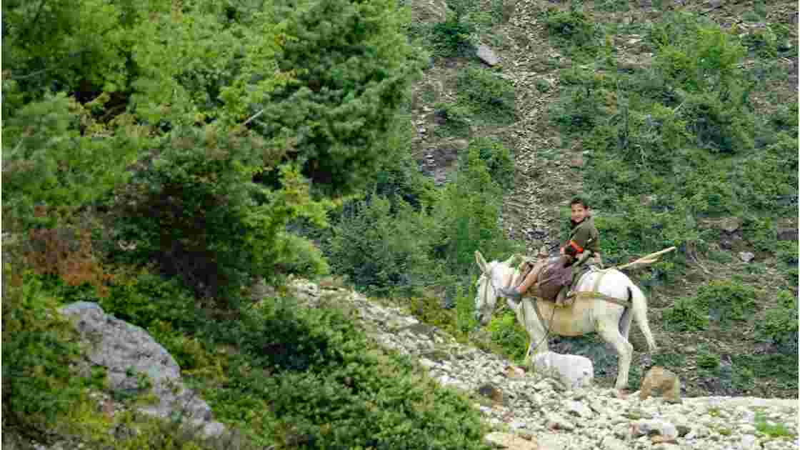 Albanie Le cavalier du Parc national Qafë-Shtamë 2