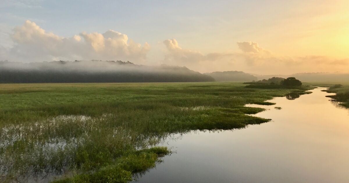 Coucher De Soleil Dans Les Marais De Kaw Coucher De Geo Fr