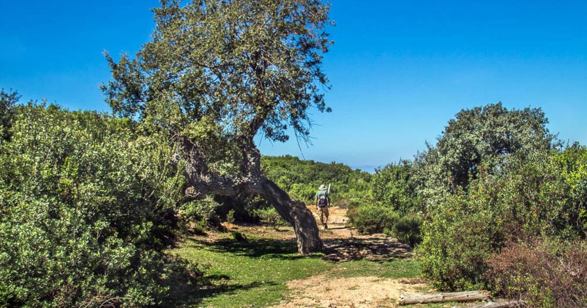 Parc national de Jebel ChitanaCap Négro Tunisie, Le... Geo.fr