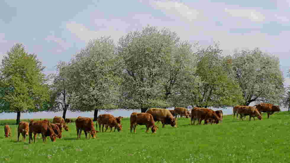 Ferme : fond d’écran et image gratuits - Geo.fr