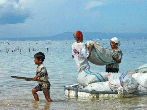 À Bali, parmi les ramasseurs d'algues de Nusa Dua