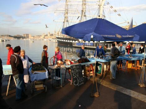 A Marseille, avec les pêcheurs du Vieux Port