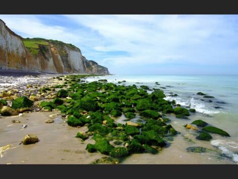 Normandie : la côte sauvage du Pays de Caux