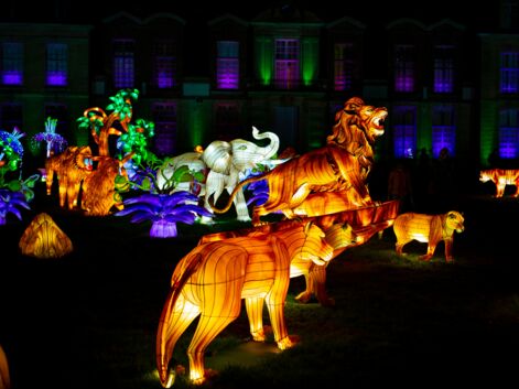 "Lumières sauvages", le festival féérique de sculptures géantes du zoo de Thoiry
