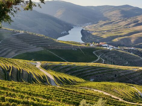 Portugal : à la découverte de la vallée du Douro