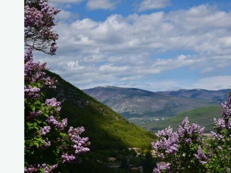 Les plus belles photos de "Paysages au printemps" par la Communauté GEO
