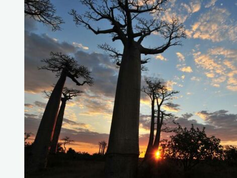 Les plus beaux paysages de Madagascar par la Communauté GEO