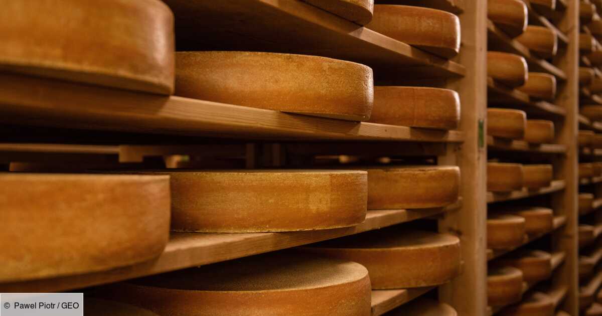 Etats-Unis : le Gruyère ne sera plus obligé de provenir de France ou de  Suisse pour avoir cette appellation 