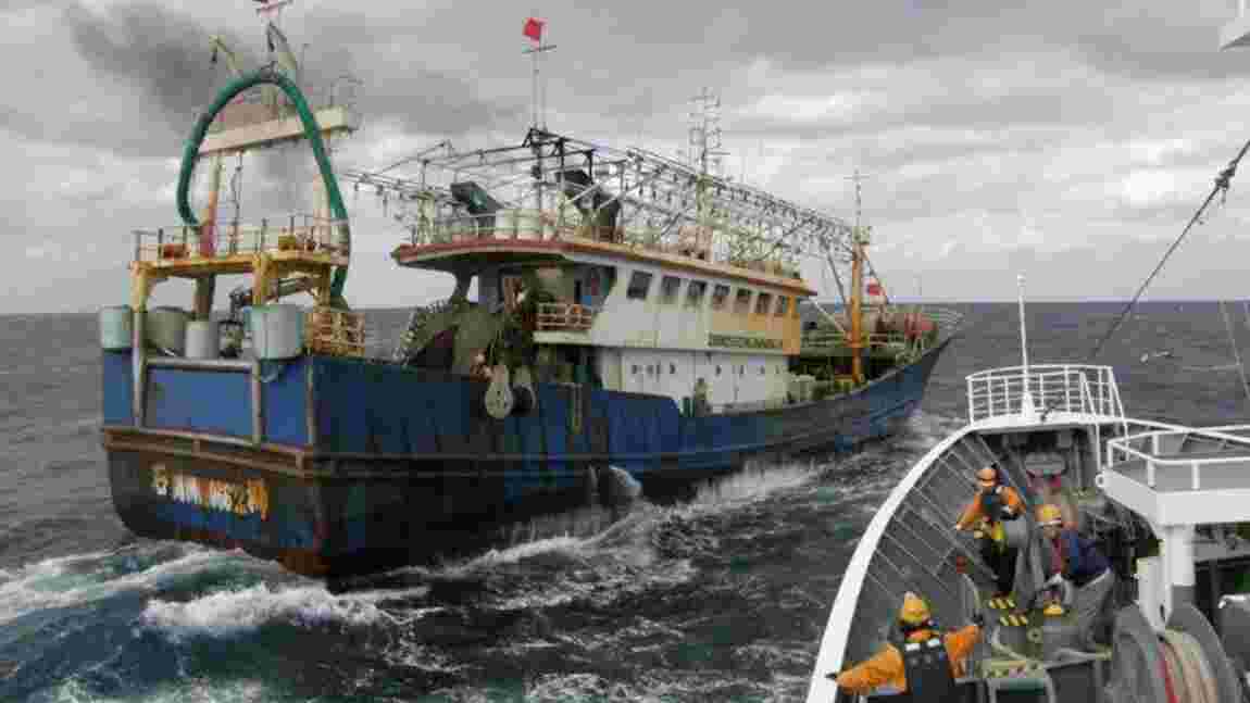 Pêche illégale : quels sont les endroits du monde où les navires dissimulent le plus souvent leur localisation ?