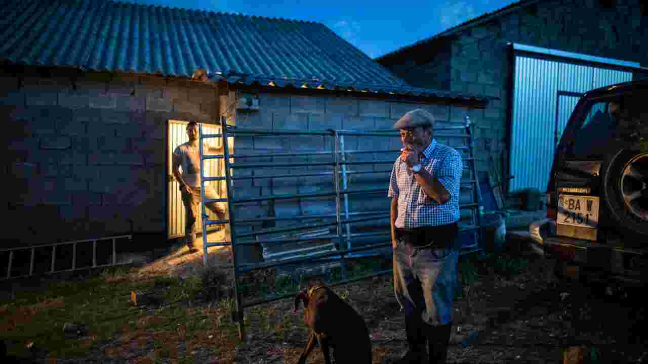 Espagne : comment les bergers cohabitent avec les loups