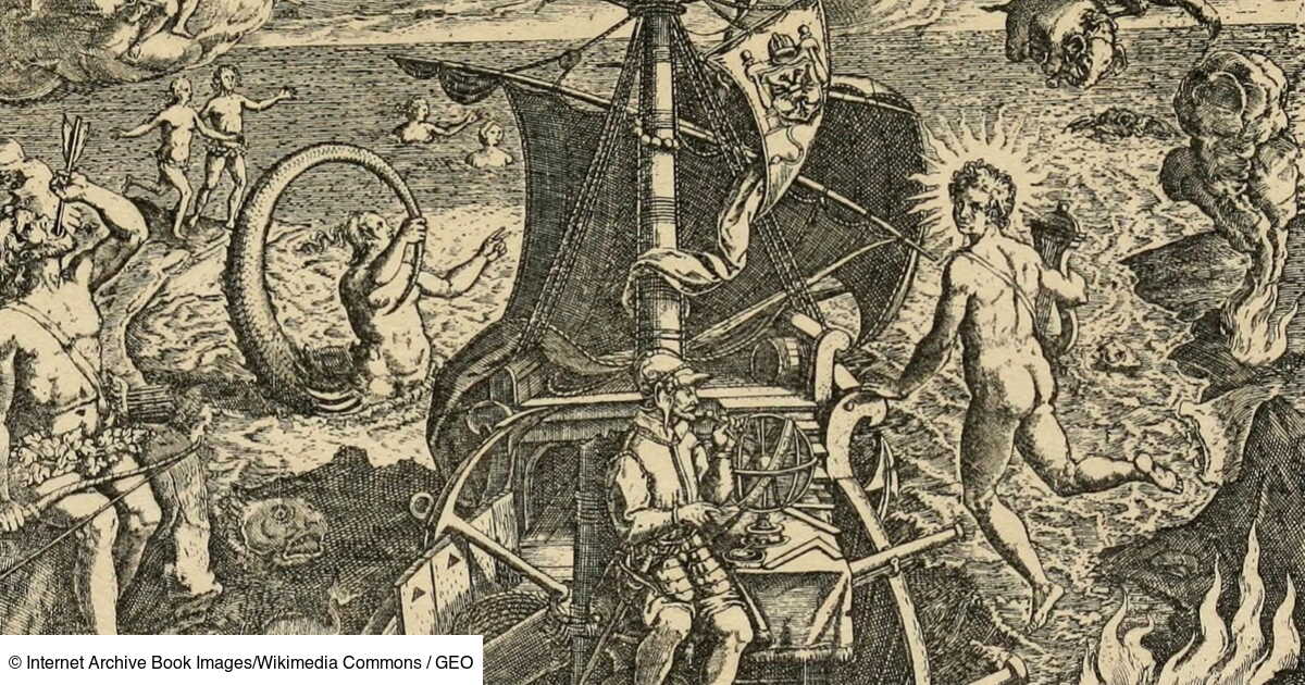 Pectorale Et Croupière Portugaises – Neuves – Sans Marque – Matériel D'équitation