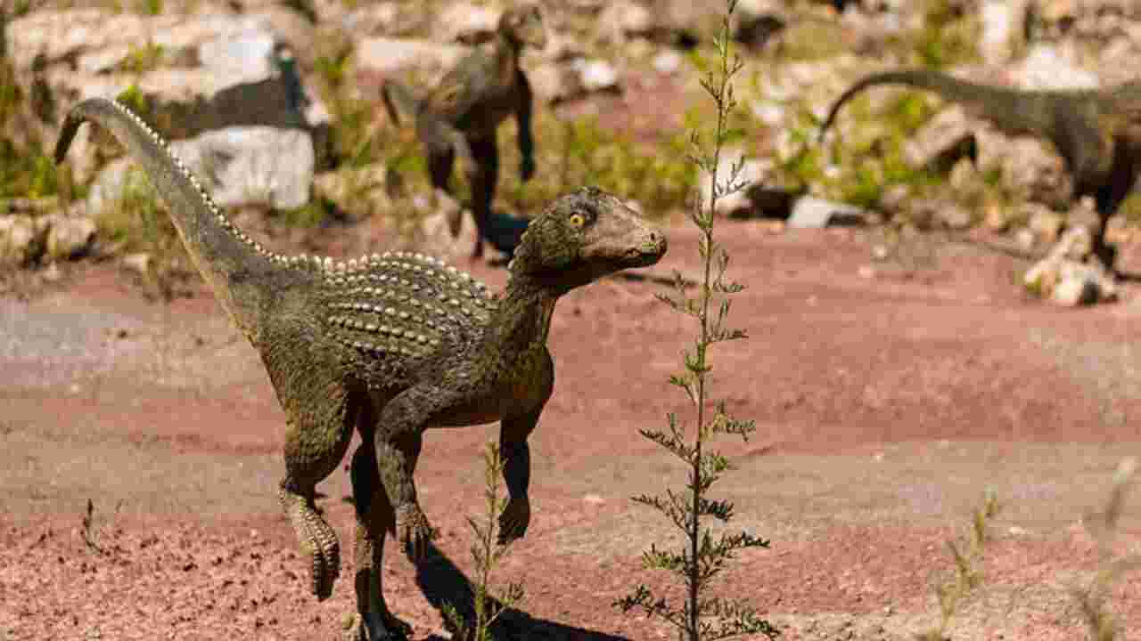 L'analyse d'un fossile révèle une nouvelle espèce de dinosaure semi-aquatique, sorte de canard carnivore