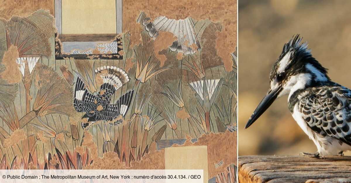 La faune d'une rare fresque réaliste de l'Égypte antique désormais identifiée par des chercheurs